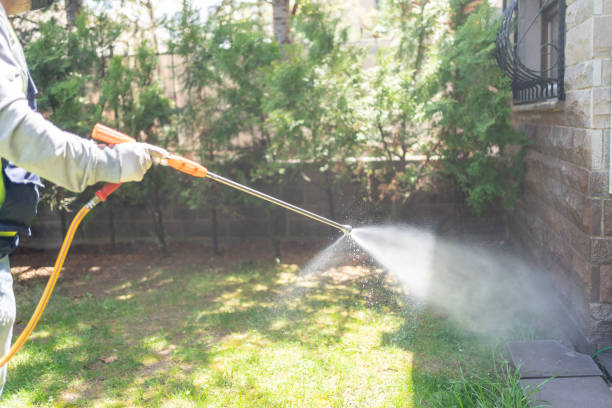 Best Residential Pest Control  in Kealakekua, HI